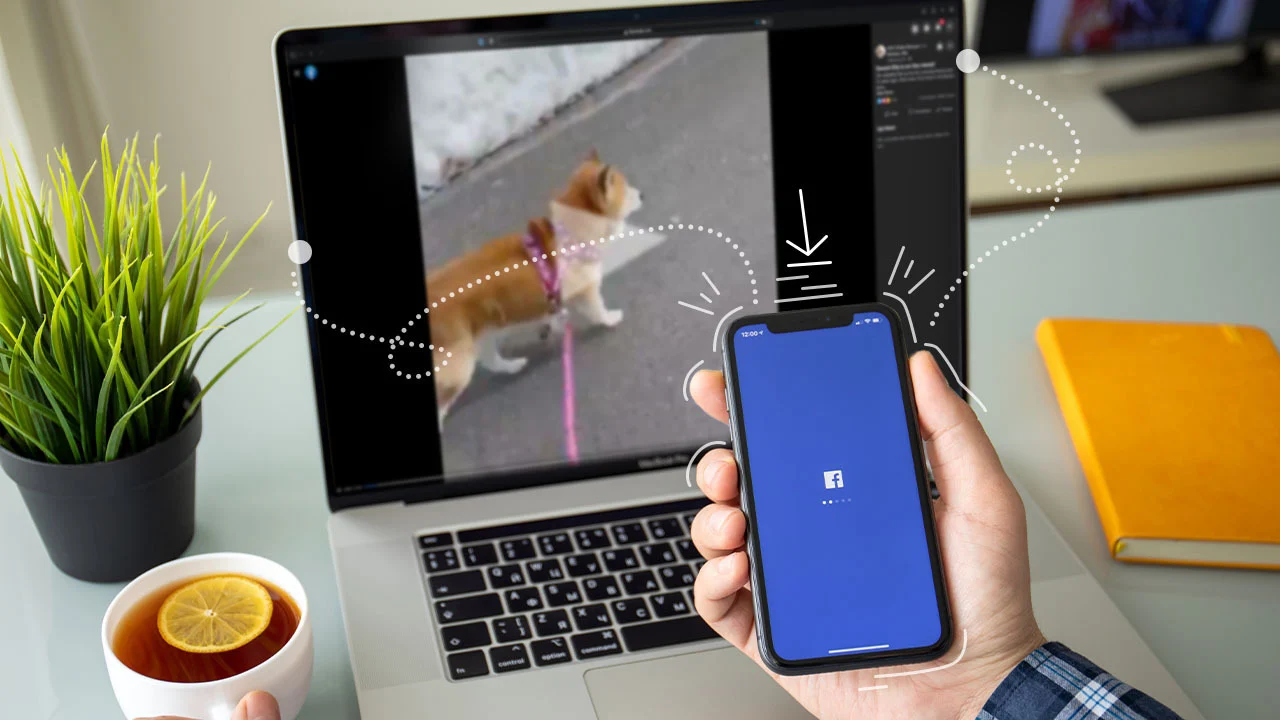 Manage, Edit, and Share Facebook Videos After Download